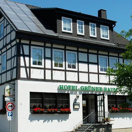 Hotel Gruener Baum Stollberg Exterior photo